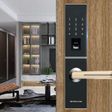 Khóa cửa vân tay Dessmann G811-II-01