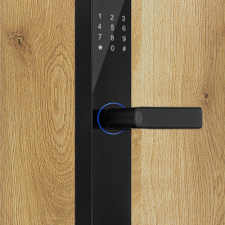 khoa-van-tay-dessmann-a110-0-866