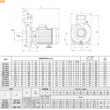 Máy Bơm Nước Pentax CS 100/2 2 Pentax CS 100 2 1