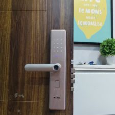 z4275315101013 11e921ba2aea2da83bc30ff0a04a8568