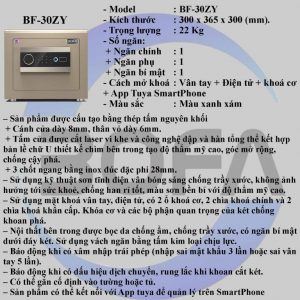 Ket sat BOFAN BF 30ZY