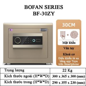 ket sat SERIES BF 30ZY